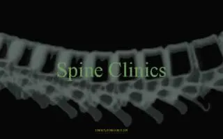 Spine Clinics of Burnsville website