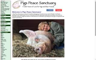 The Pig & Pint