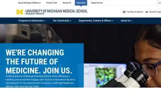 PIBS Tax Prep website