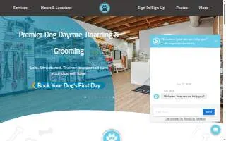 City Paws Pet Club - Dog Daycare, Boarding, Training & Grooming website