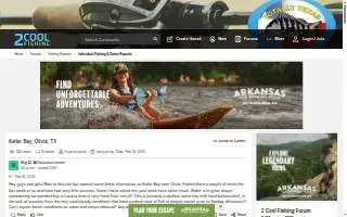 Olivia's Bistro website