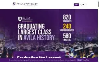 Avila Construction website