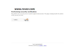 The Rover Doctor Plus