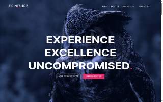PRINTSHOP by We Do - Lake Success website