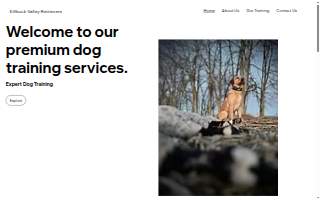 Killbuck Valley Retrievers llc