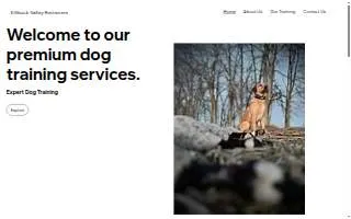Killbuck Valley Retrievers llc website