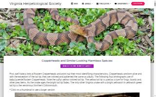 Copperhead Electric