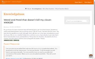 Clover Insurance Agency of Palm Bay