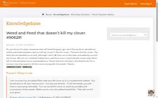 Clover Insurance Agency of Palm Bay website