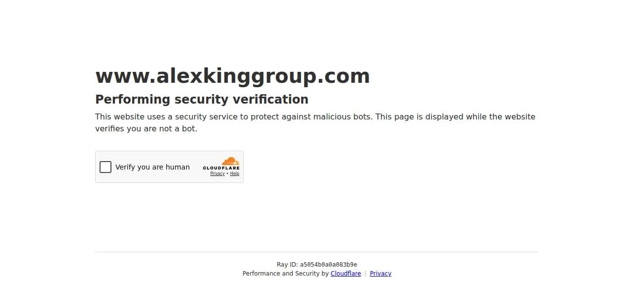 Alex King Group | Premiere Plus Realty I Top Fort Myers Beach Realtors website