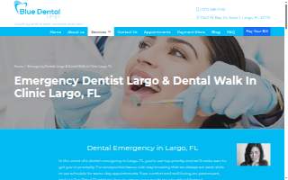 Blue Dental Largo website