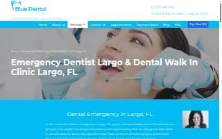 Blue Dental Largo website