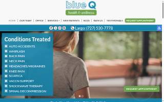 Blue Q Health And Wellness website