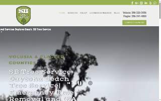 SB Tree Service: Tree Removal & Trimming of Daytona Beach website