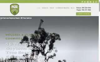 SB Tree Service: Tree Removal & Trimming of Daytona Beach website