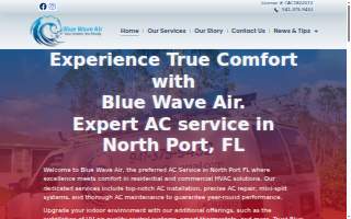 Blue Wave Air website