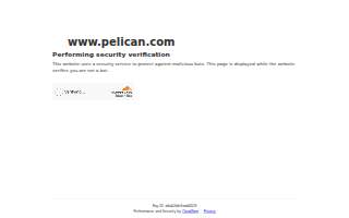 Pelican Wealth Advisors, LLC