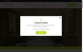 Exposed Salon | Hair Styling and Nail Salon Lombard website