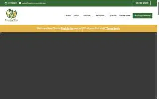 Country View Veterinary Clinic website
