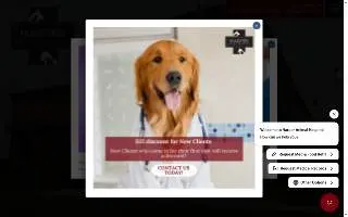 Harper Animal Hospital of Palatine website