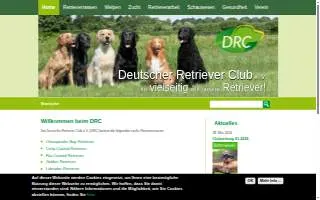 DRC Plumbing and Sewer, Inc. website
