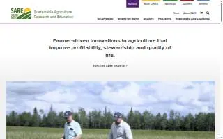 Sare Associates website