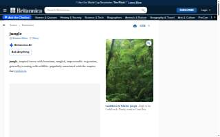The Jungle Mexican Cantina & Handmade Tortillas