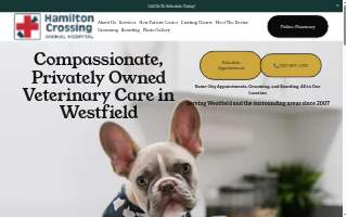 All-Star Veterinary Clinic