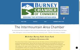 Burney's Plumbing Inc
