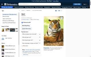 Tiger Plumbing