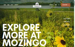 The Mozingo Law Firm, LLC