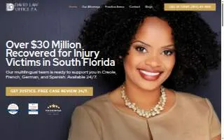 The David Law Office website