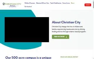 Christian Brothers Automotive Shawnee website