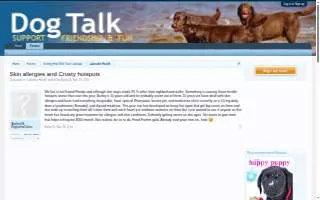 The Crusty Pig website