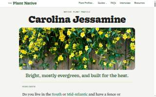 Jessamine Medical & Diagnostic Center