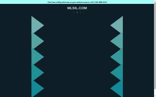 MLS Insurance Group Inc