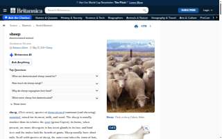 Sheep Electrical Service & Solutions