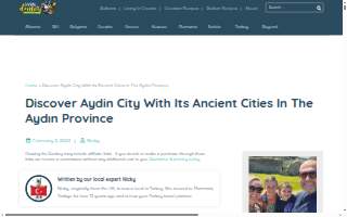 Aydin's Auto Sales