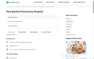 New Bedford Veterinary Hospital