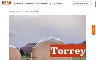 Torrey & Associates Real Estate
