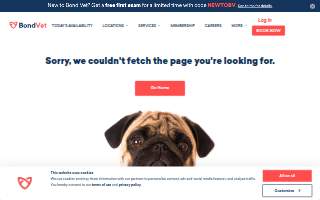 Bond Vet - Lynnfield