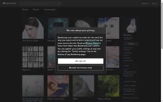 Ziemba Tax Services website