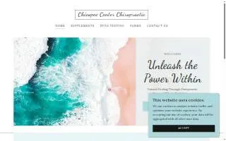 Chicopee Center Chiropractic website