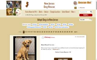 Dogs and Cats Emergency & Spay/Neuter