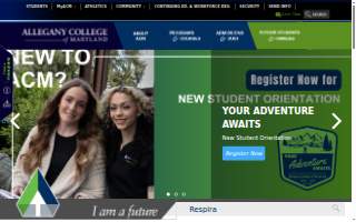Allegany Business
