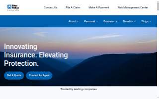 Blue Ridge Risk Partners