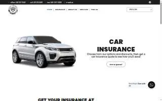 Elsy Leonso Insurance Agency LLC website