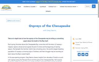 Chesapeake Chiropractic