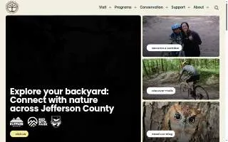 Mountain View Insurance Solutions website