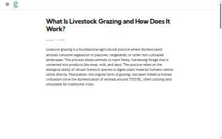 The Grazing Room at Boards by Dana